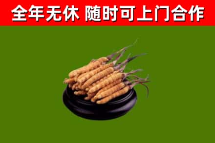 资溪县烟酒回收冬虫夏草.jpg